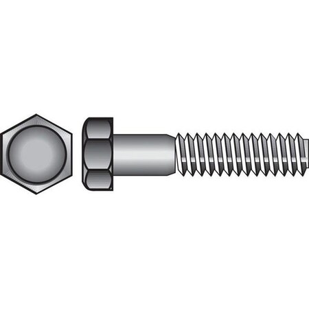 1/4-20 Hex Head Cap Screw, Stainless Steel, 3 In L